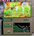 Soypro SY-43 43-Inch Full HD LED TV - 2