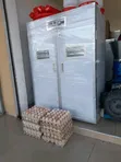 KILIMO TECH AFRICA Incubator za Body ya Chuma Imara - 2