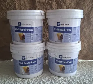 Wall Repair Putty - 1kg