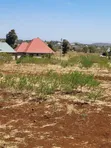 Land for Sale in Arusha - 2