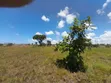 Kigamboni Dege Plot for Sale - 1