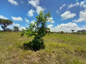 Kigamboni Dege Plot for Sale