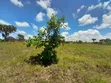 Kigamboni Dege Plot for Sale - 2