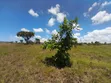 Kigamboni Dege Plot for Sale - 3