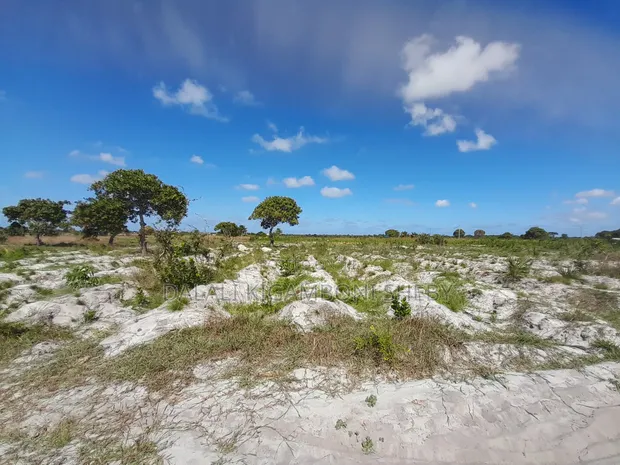 Land for Sale Kigamboni Mwasonga - 1