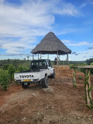Toyota Land Cruiser 79 Series 2009 Nyeupe