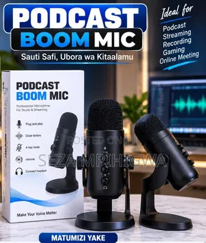 Podcast Boom Mic - Professional USB Microphone