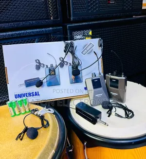 Professional Universal Dual Microphone Set