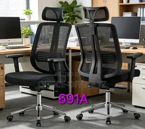 Ergonomic Office Chair (Power 01)