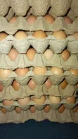 Layers Eggs - Tray of 30 - 1