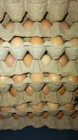 Layers Eggs - Tray of 30 - 2