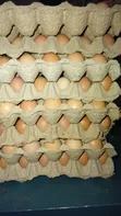 Layers Eggs - Tray of 30 - 3