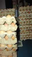 Layers Eggs - Tray of 30 - 4