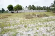 Kigamboni Mwasonga Plots for Sale - 1