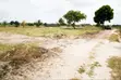 Kigamboni Mwasonga Plots for Sale - 3
