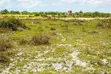 Land Plots for Sale in Kigamboni Mkamba - 1