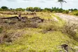 Land Plots for Sale in Kigamboni Mkamba - 3