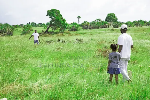 Viwanja vya Kigamboni Puna Vinauzwa - 1