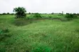 Viwanja vya Kigamboni Puna Vinauzwa - 2