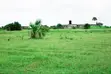 Viwanja vya Kigamboni Puna Vinauzwa - 4