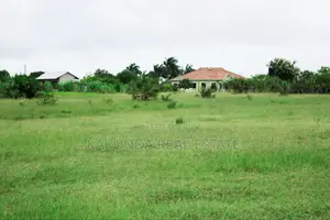 Viwanja vya Kigamboni Puna Vinauzwa