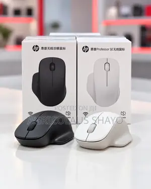 HP Dual-Mode Silent Wireless Mouse (Ergonomic)