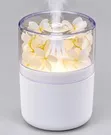 Preserved Flower Ultrasonic Humidifier & Aromatherapy Diffuser - 1