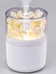 Preserved Flower Ultrasonic Humidifier & Aromatherapy Diffuser - 2