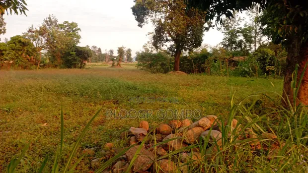Kiwanja cha Makazi kwa Ajili ya Kuuzwa, Mailisita, Kilimanjaro (Moshi) - 1
