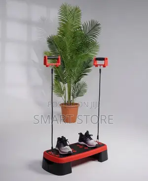 Quad Step Board with Resistance Bands & Push Up Stand