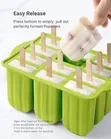 Ice Cream Mold - Easy to Wash - 1