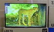 Globalstar 32-Inch LED TV - 2