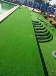 Carpet Turf / Artificial Grass - Premium Quality - 1