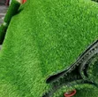 Carpet Turf / Artificial Grass - Premium Quality - 4