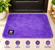 Doormat - Feather Design - 5