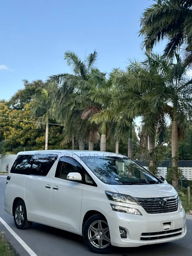Toyota Alphard 2008 - 8 Seater - Power Door - 1