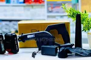 Rechargeable Blower with 2 Batteries