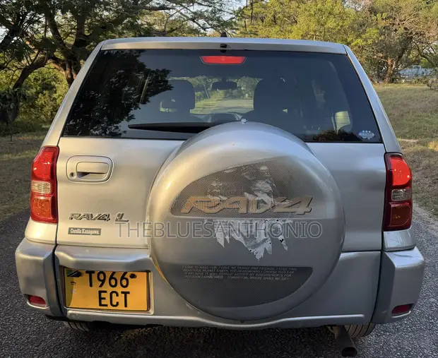 Toyota RAV4 2004 Silver - 1