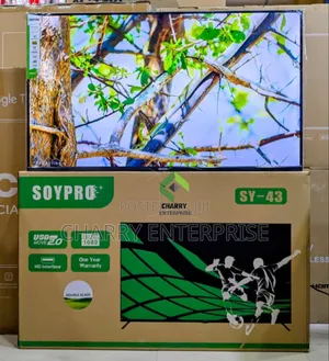 Soy Pro TV 43" Normal Double Glass
