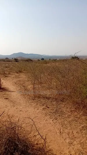Ardhi kwa Ajili ya Uuzaji - Eka 16, 30, 6 Ng'ong'ona, Dodoma