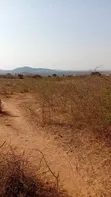 Land for Sale - 16, 30, 6 Acres in Ng'ong'ona, Dodoma - 2