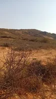 Land for Sale - 16, 30, 6 Acres in Ng'ong'ona, Dodoma - 3