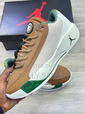 New Air Jordan Airzoom 2026 Sneakers