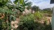 2 Bedroom House for Sale in Small Home Villa, Kunduchi - 2