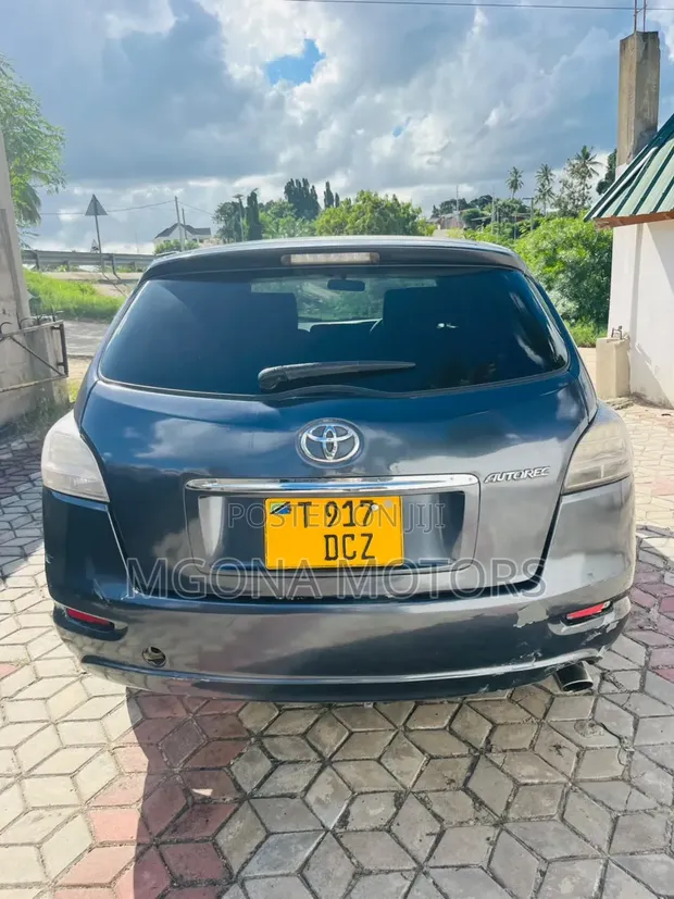 Toyota Mark X Zio 2007 Gray - 1