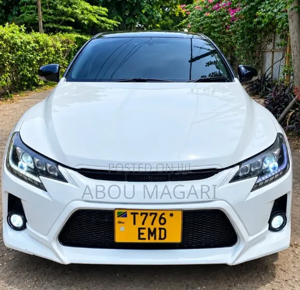 Toyota Mark X 3.0 RWD 2009 Nyeupe - 1