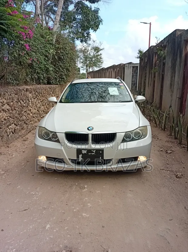 BMW 3 Series 2006 Pearl - 1