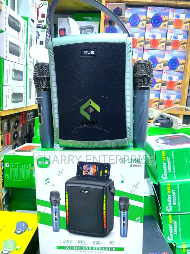 SV2 Spika ya Karaoke ya Rechargeable isiyo na waya ya Bluetooth 40W yenye Mics 2 - 1