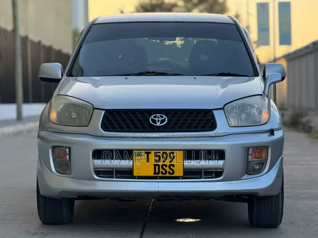 Toyota RAV4 2005 Silver - 1