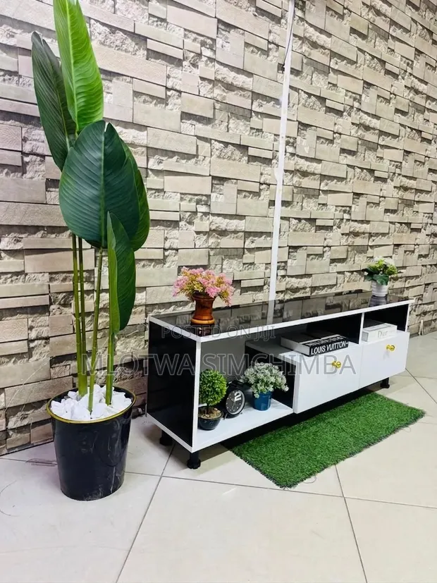 Modern and Sturdy TV Showcase - 1